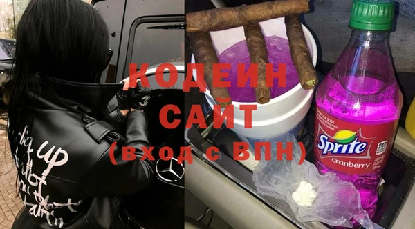 ГАЛЛЮЦИНОГЕННЫЕ ГРИБЫ Алексин