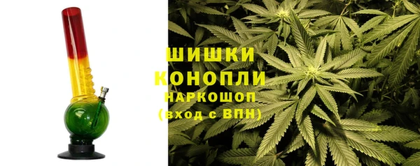 ГАЛЛЮЦИНОГЕННЫЕ ГРИБЫ Алексин