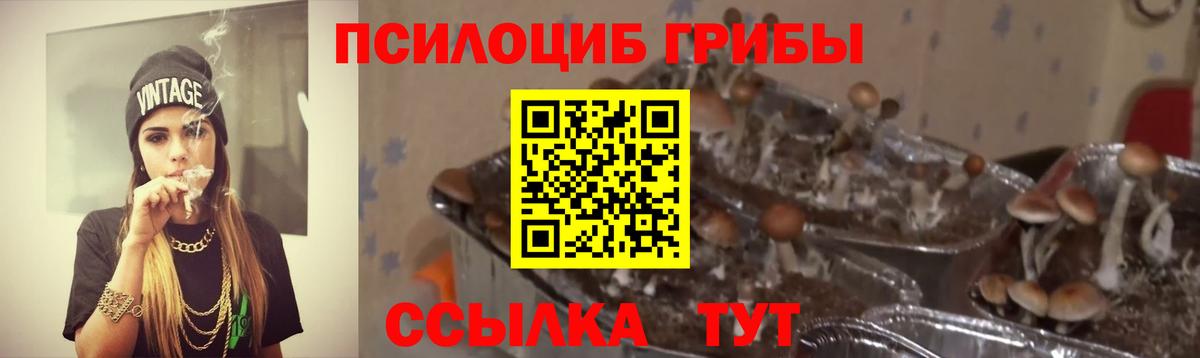 Северодвинск  Псилоцибиновые грибы ЛСД  Вход с VPN 